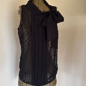 Banana Republic sheer bow tie top.  A staple to amp up your style.